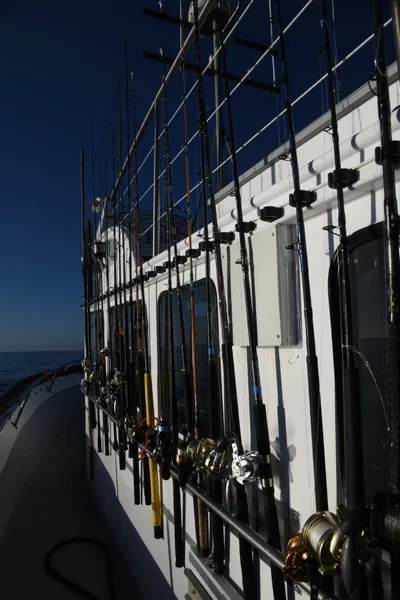 DSC_6585 (Large).JPG